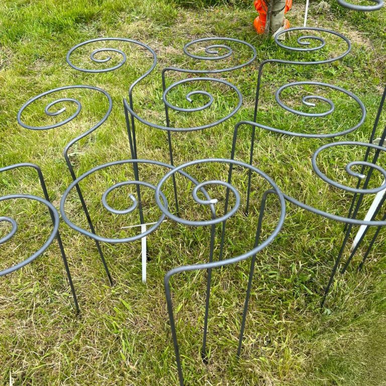 5065022557753 1 Pig Tail Steel Plant Support Pack of 5.jpg
